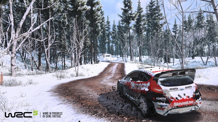 WRC 5 snow