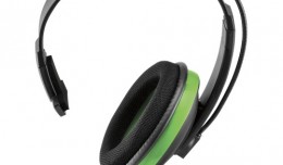 turtle beach