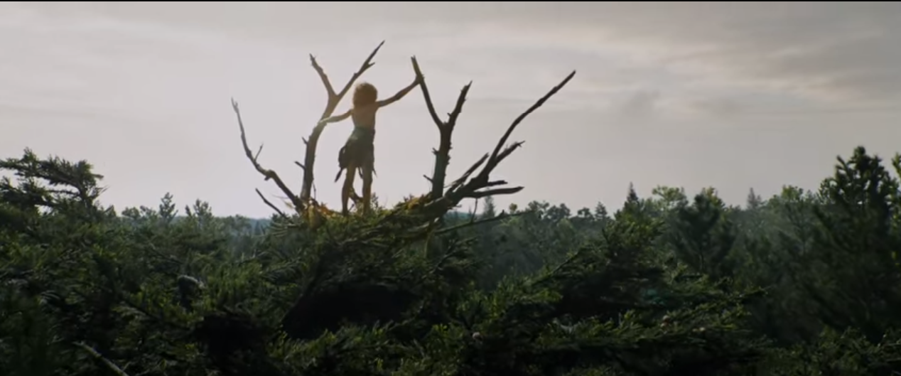 Bekijk de eerste Pete’s Dragon teaser