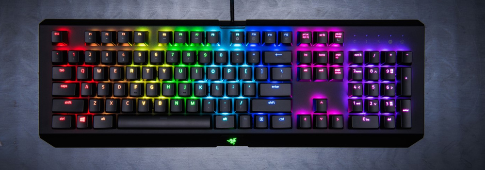 Razer Blackwidow X Chroma