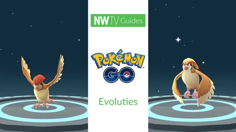 Alles over de Pokémon GO evoluties