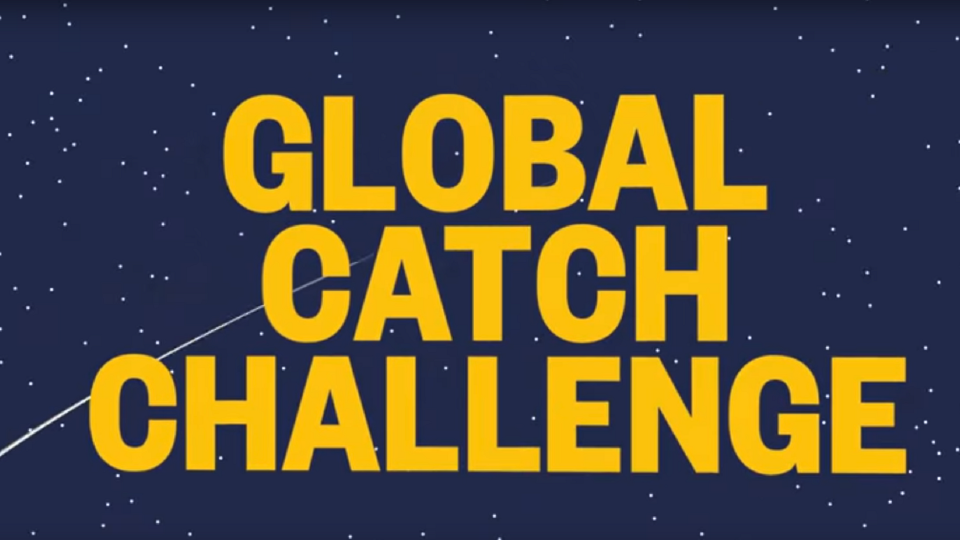 Er is weer een nieuwe Catch Challenge onderweg naar Pokémon GO - NWTV