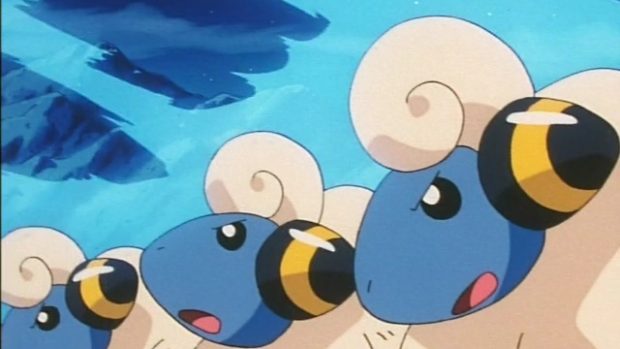 Alle 100 IV-CP van Mareep op een rijtje