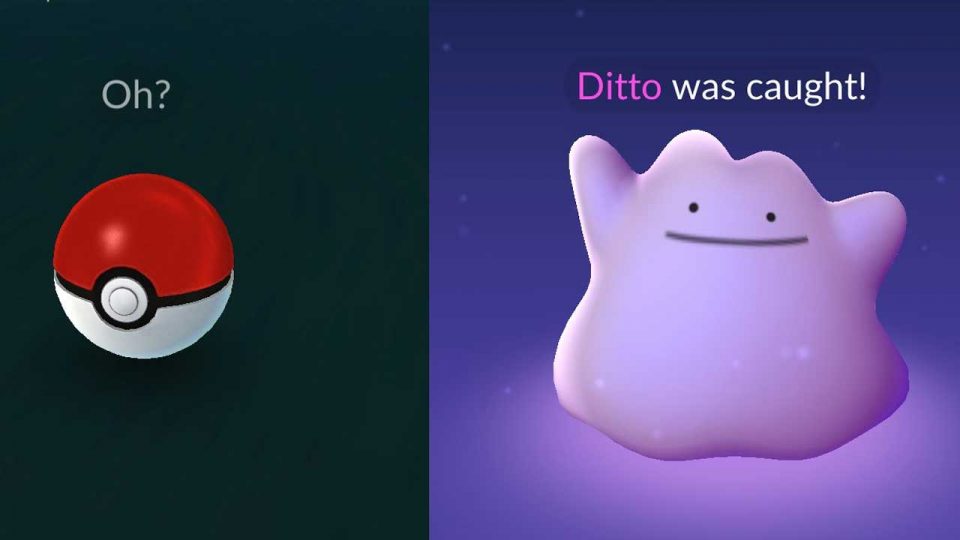 Dit zijn de Ditto-Pokémon op dit moment in Pokémon GO – januari 2022