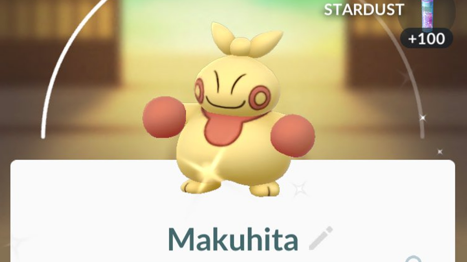 Shiny Makuhita duikt op tijdens nieuw evenement