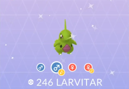 Vandaag is je tweede goede kans op een Shiny Larvitar en hij ziet er zo uit!