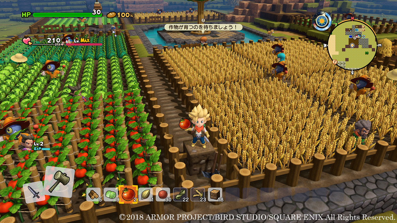 Dragon Quest Builders 2-screenshots 5