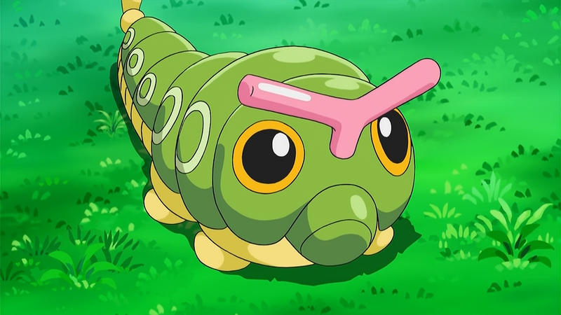 Shiny Caterpie in onderdeel van Bug-maand november