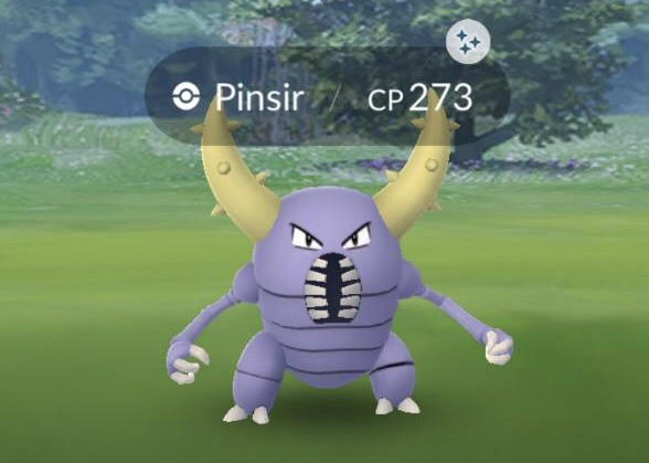 Pinsir duikt veel meer op in verband met Safari Zone