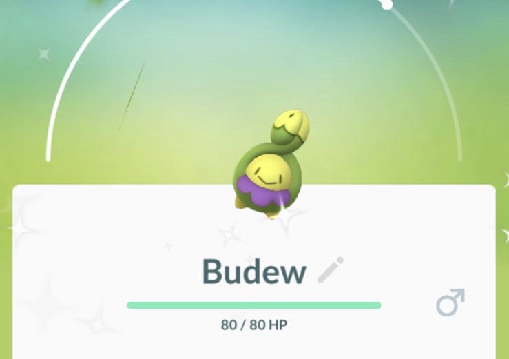 Shiny Budew ook opgedoken in Pokémon GO