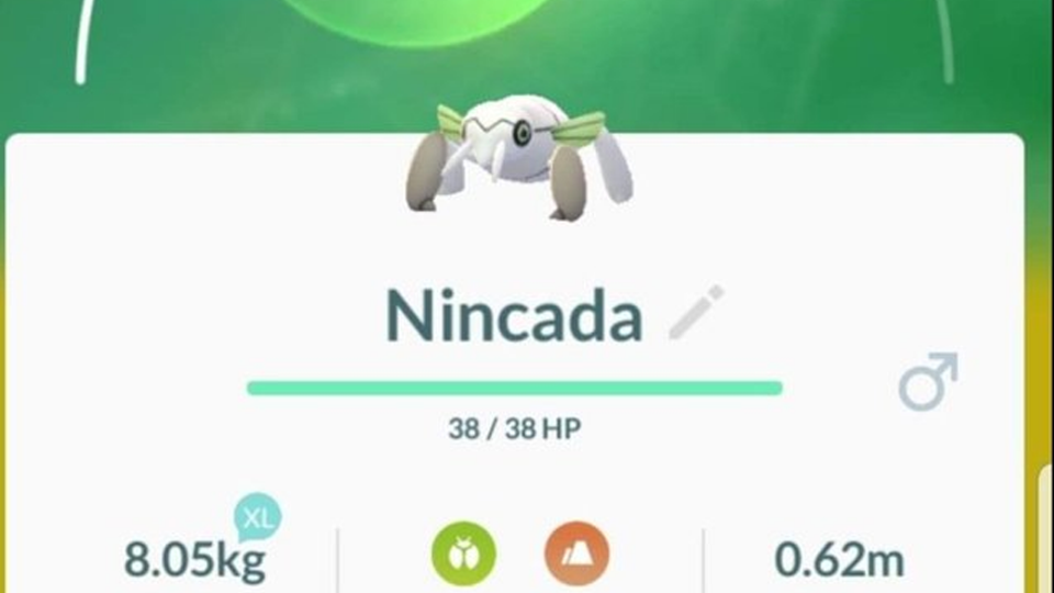 Nincada en Ninjask duiken ook alsnog op in Pokémon GO