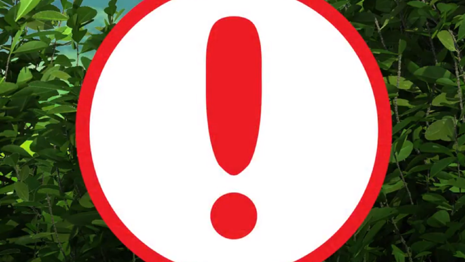 Terugblik: Michael Steranka vertelt over GO Battle League-tussenseizoen en meer