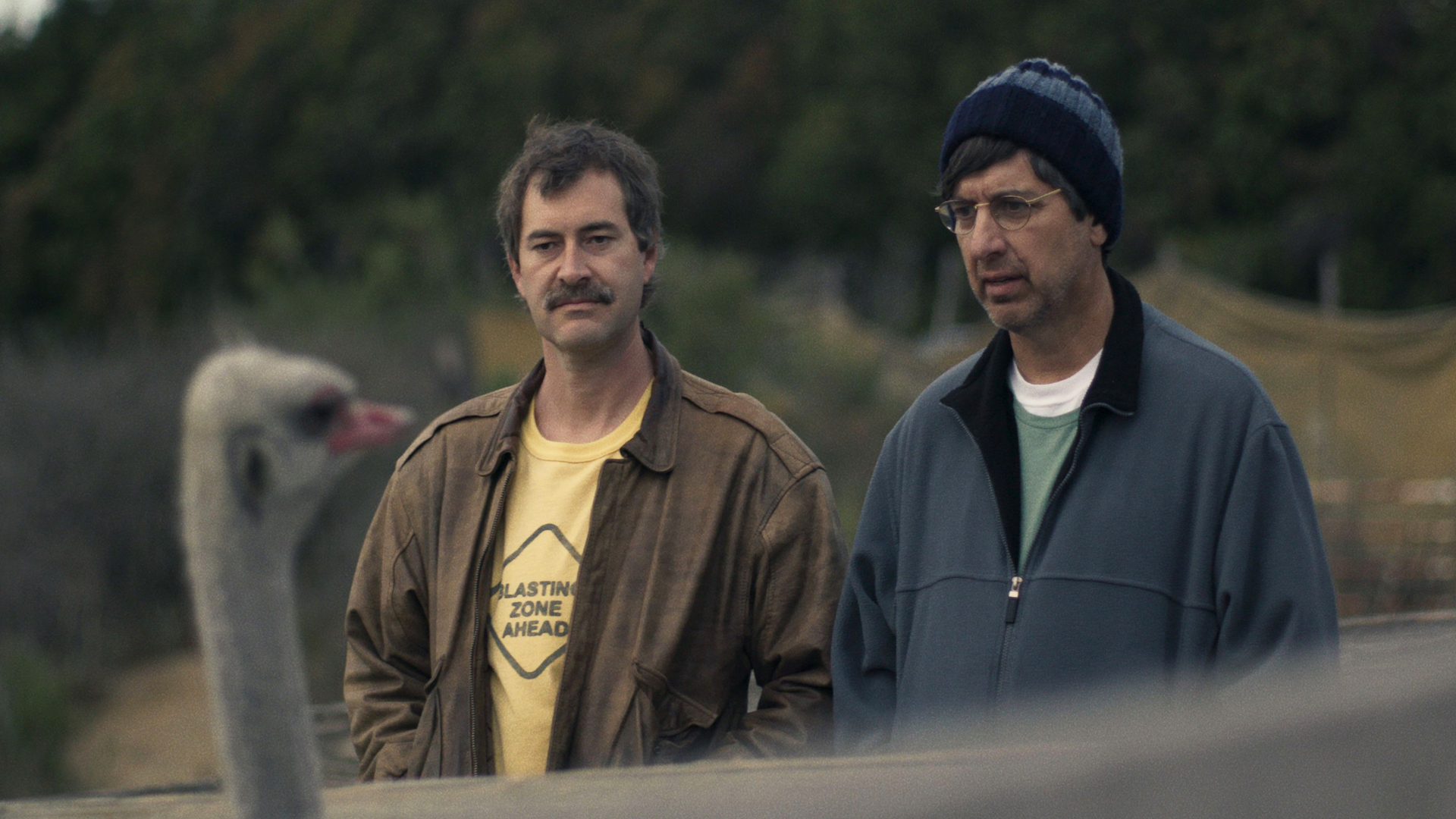 Week 9 Netflix-releases