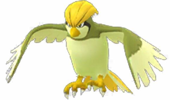 Pidgeotto