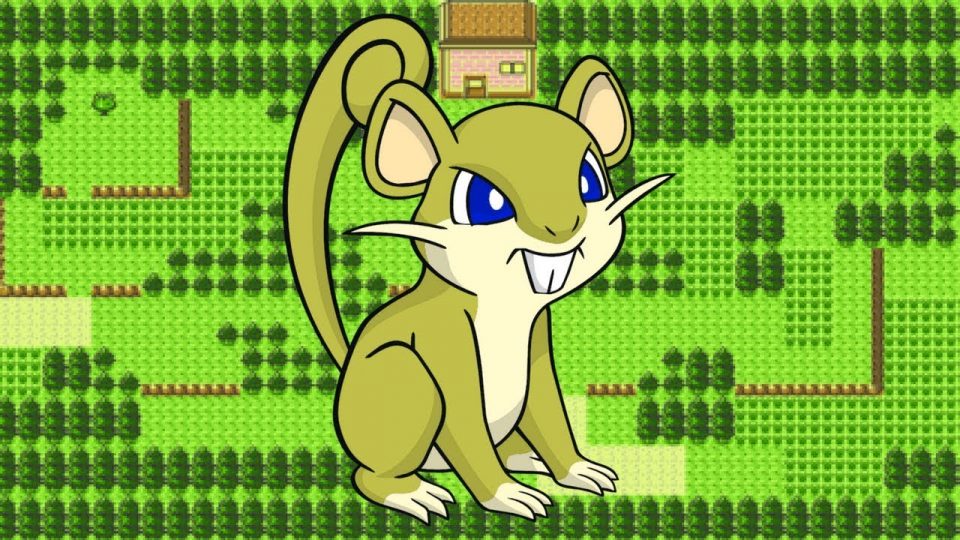 Bekijk alvast Shiny Rattata en Shiny Pidgey