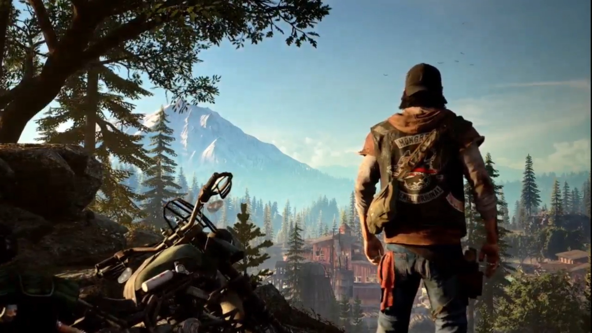 Fotomodus in Days Gone