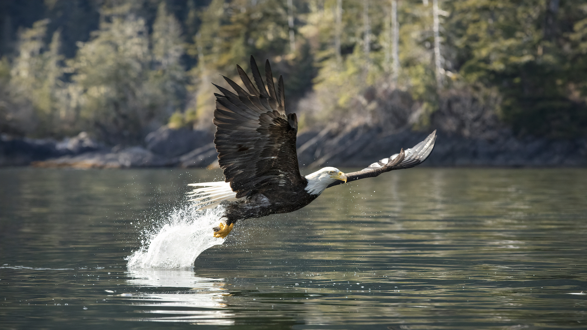 Week 14 Netflix-releases