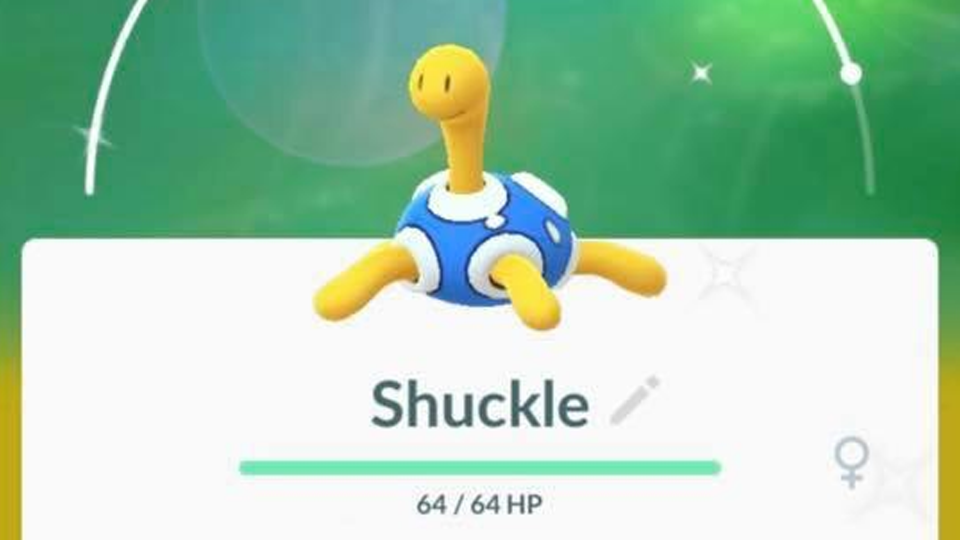 Shiny Shuckle bevestigd! Dit weekend vermoedelijk in Nederland