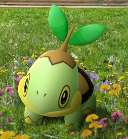Shadow Turtwig