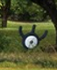 Unown