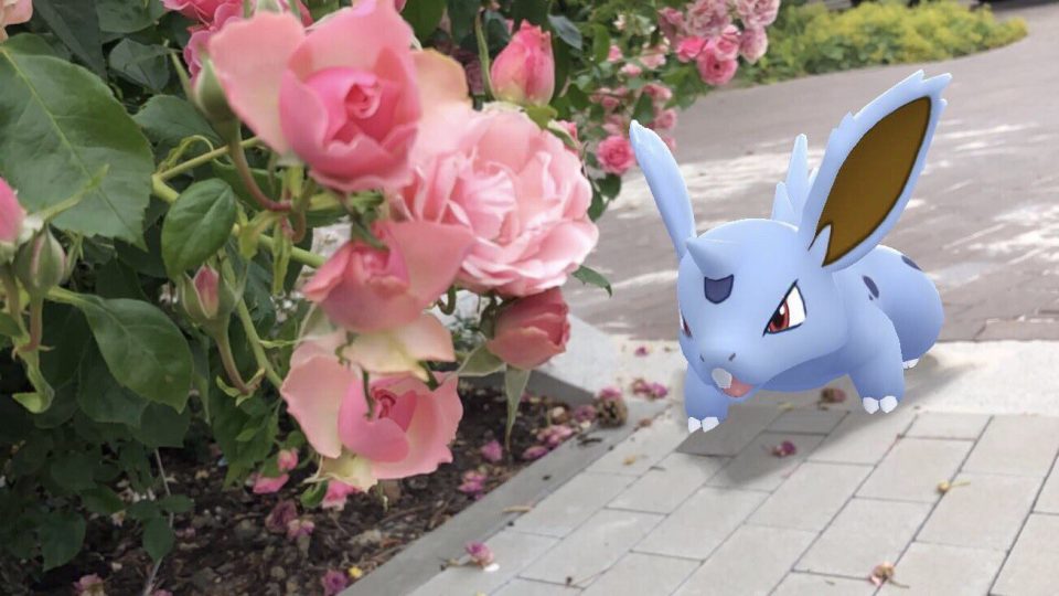 Gerucht: Pokémon GO Fest Dortmund 2020 in augustus