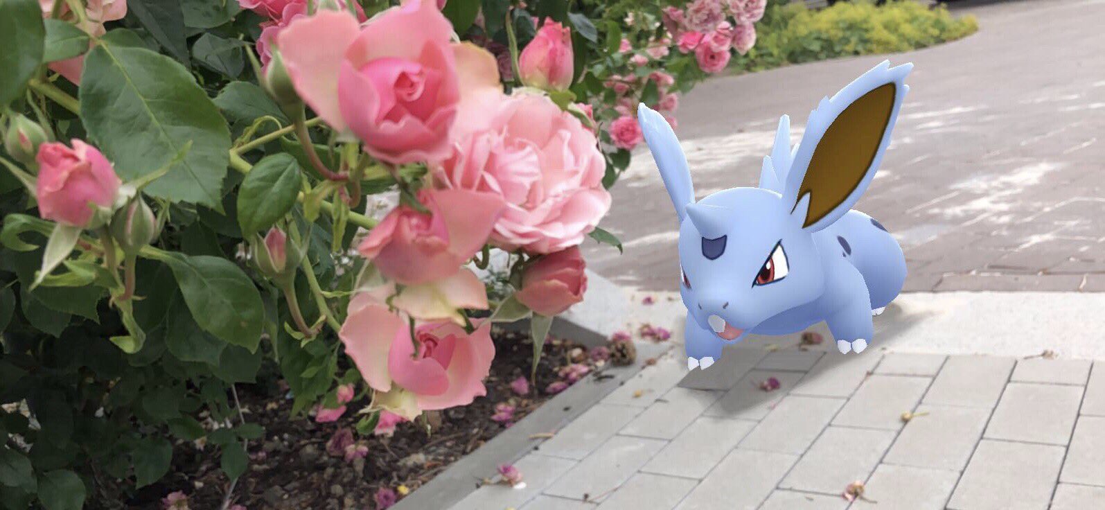 Pokémon GO Fest Dortmund-survey, Pokémon GO Fest Dortmund 2020