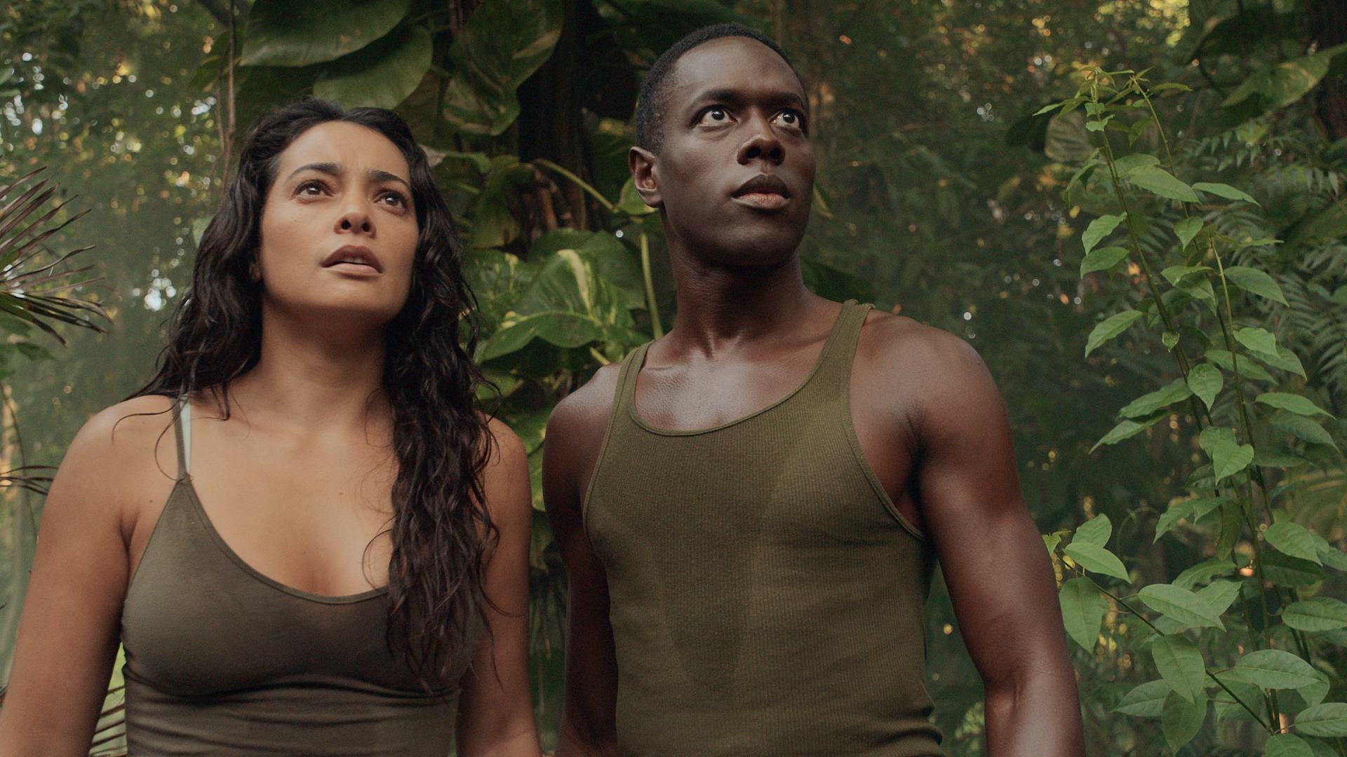 Week 37 Netflix-releases