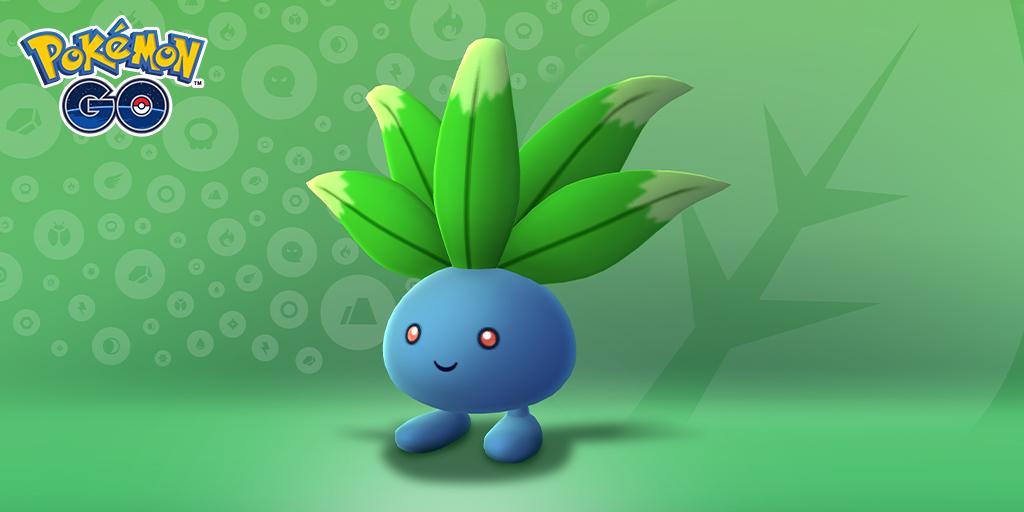 Odish-spawns, Oddish Showcases, Pidgey en Oddish XXL en XXS-bonus