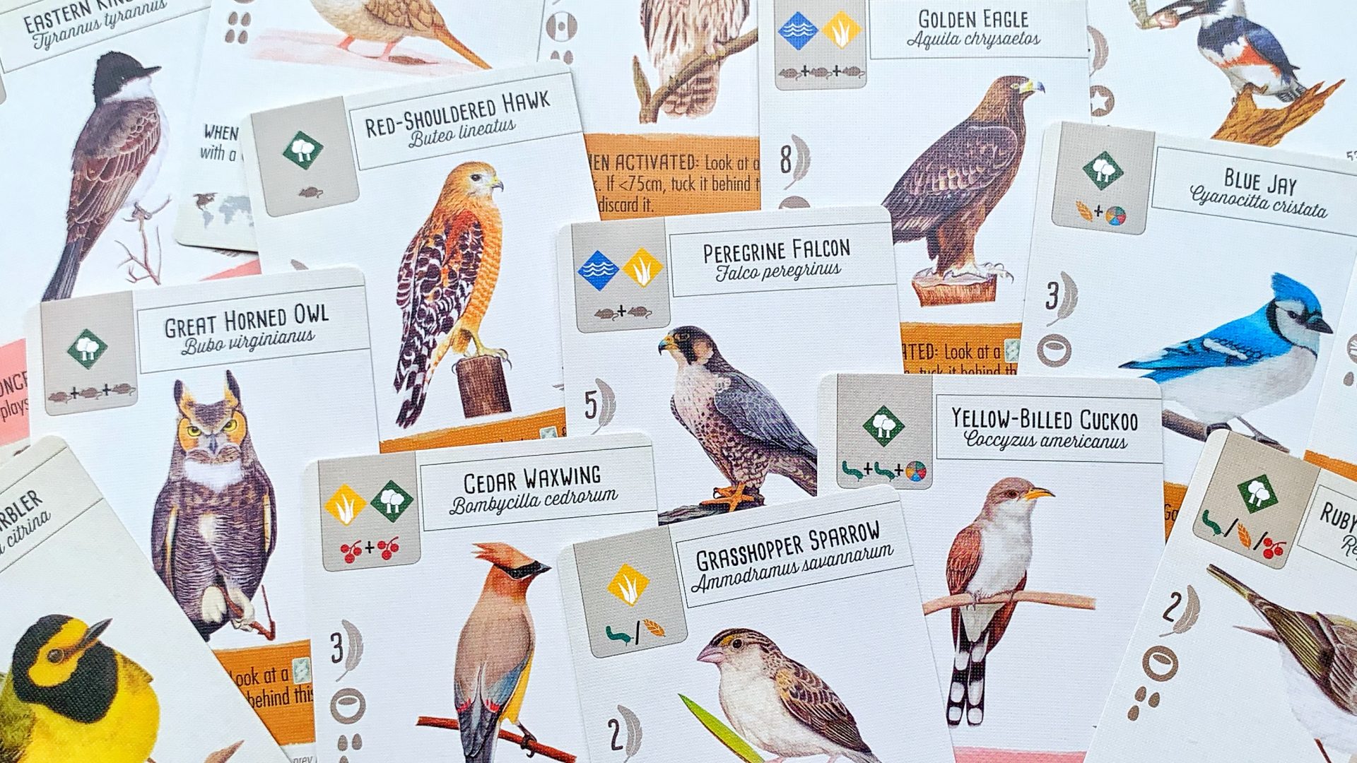 unieke uitgave van Wingspan