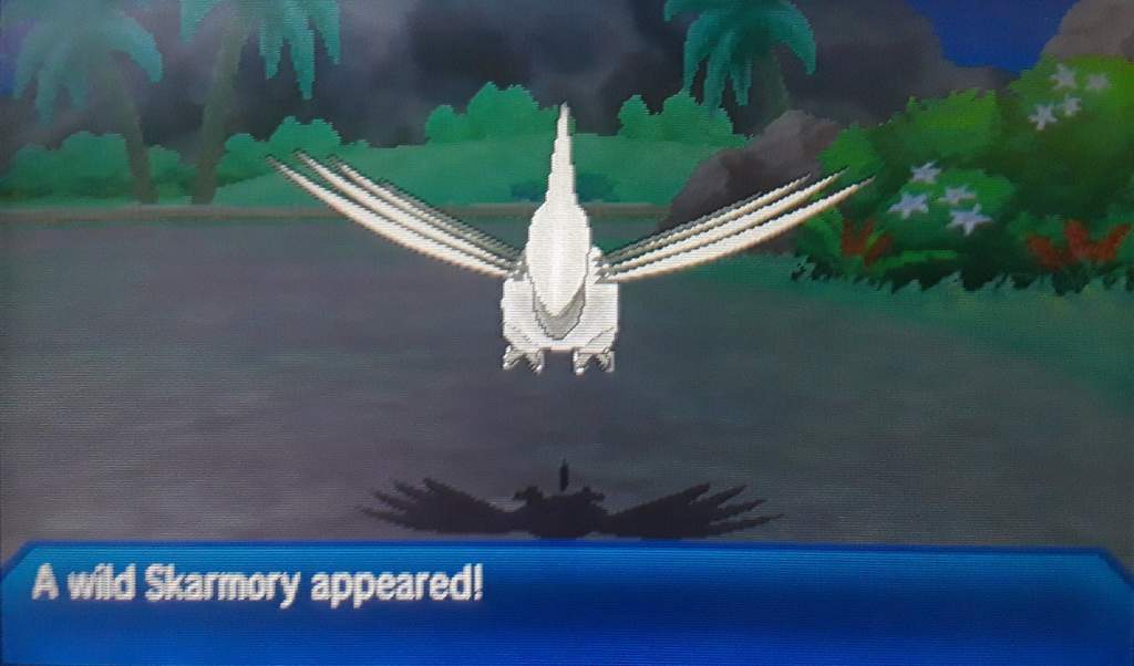 Shiny Skarmory-rate