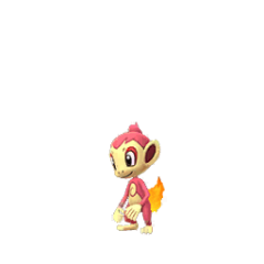 shiny Chimchar