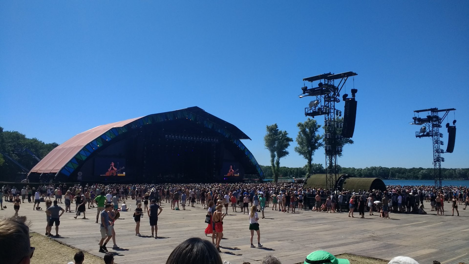 Down the Rabbit Hole