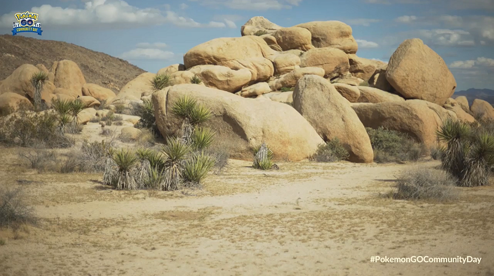 Seedot Community Day-livestream