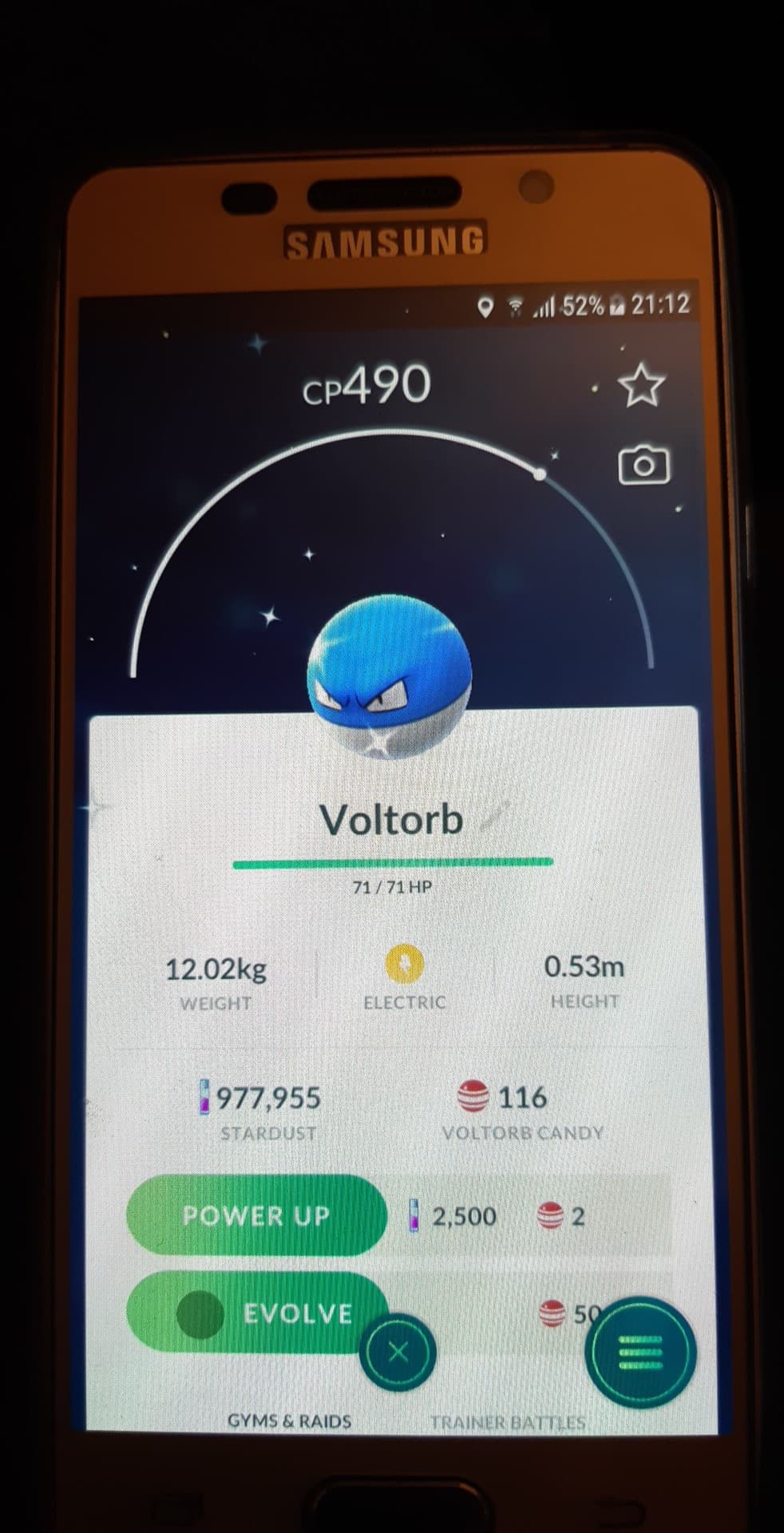Shiny Voltorb 01