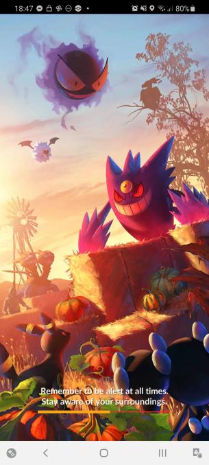 Pokémon GO-laadscherm