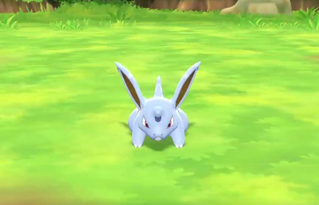 Shiny Nidoran-kans lijkt groter dan bij de vorige Limited Research Day