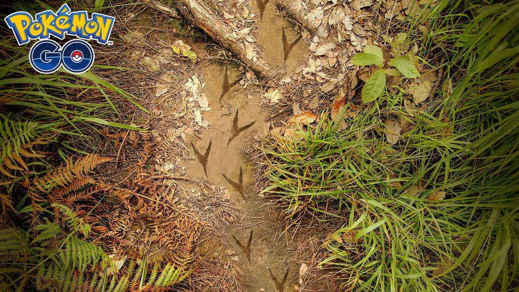 Fletching Community Day