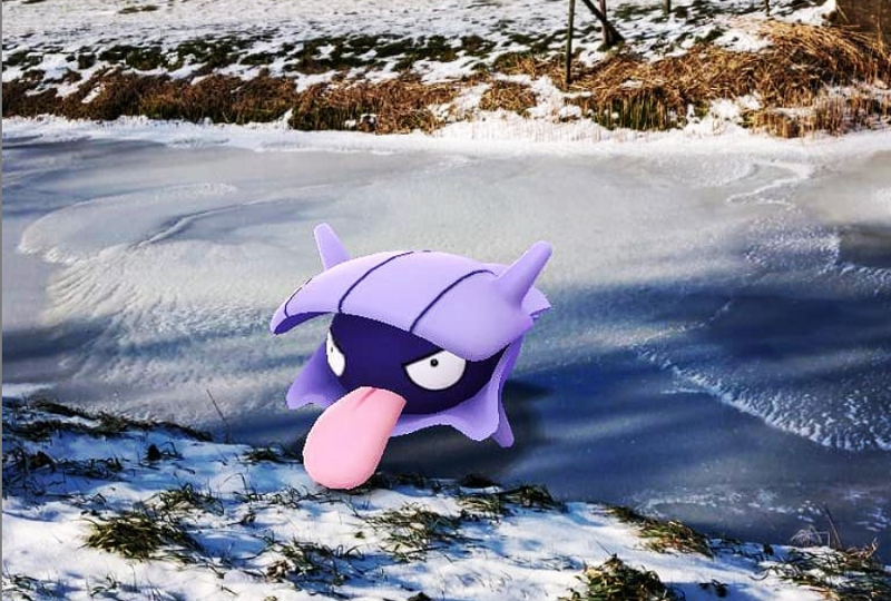 NWTV-prijsvraag, 15 euro Pokémon GO-tegoed