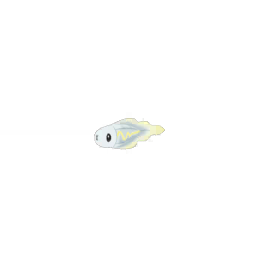 pokemon_icon_602_00 (1)