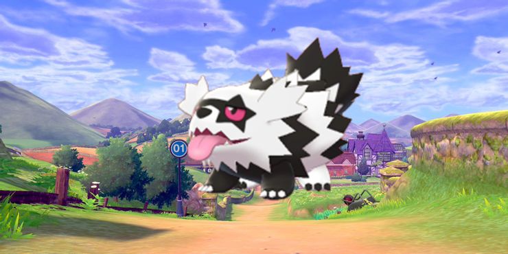 shiny Galarian Zigzagoon-familie, Galarian Zigzagoon Community Day, Shiny Galarian Zigzagoon