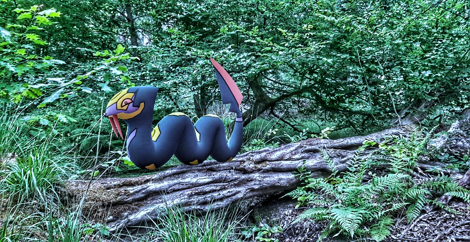 IMG_2020-06-21-19553204-01