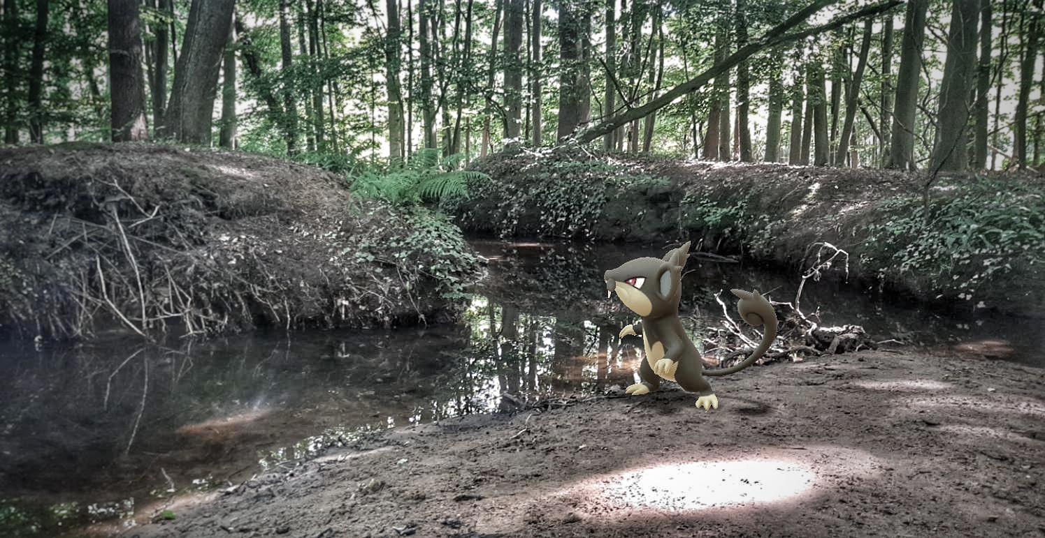 Dit waren de tofste Pokémon GO AR-foto’s van onze winactie