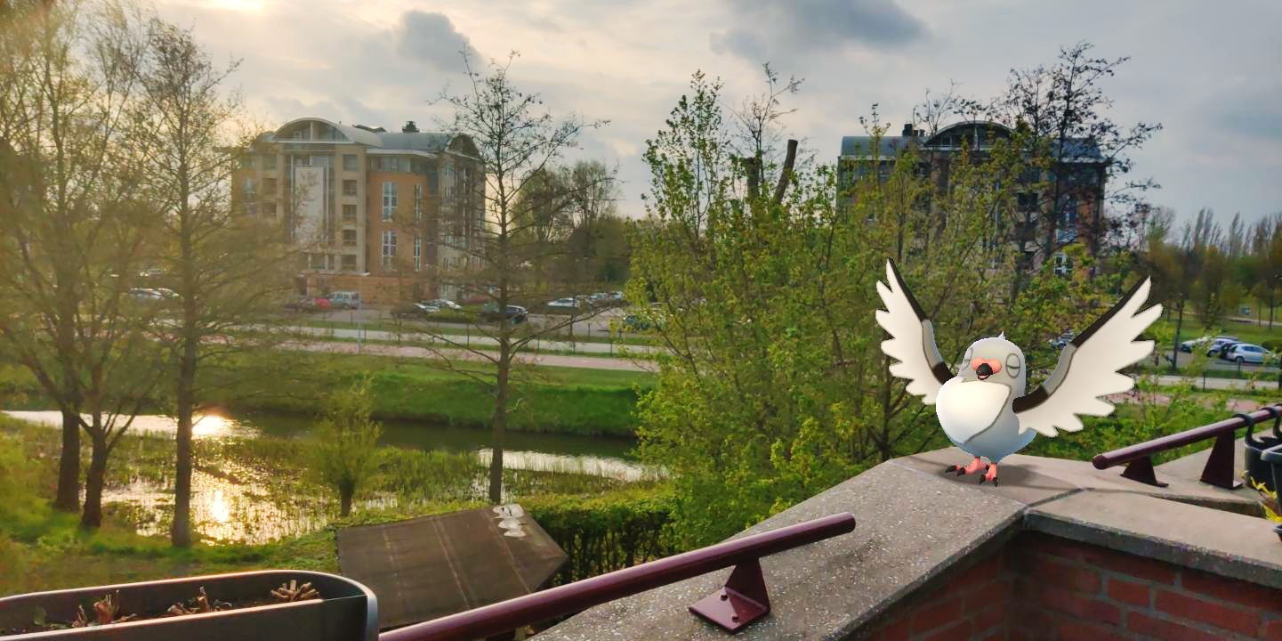 IMG_2021-04-29-19181330__01