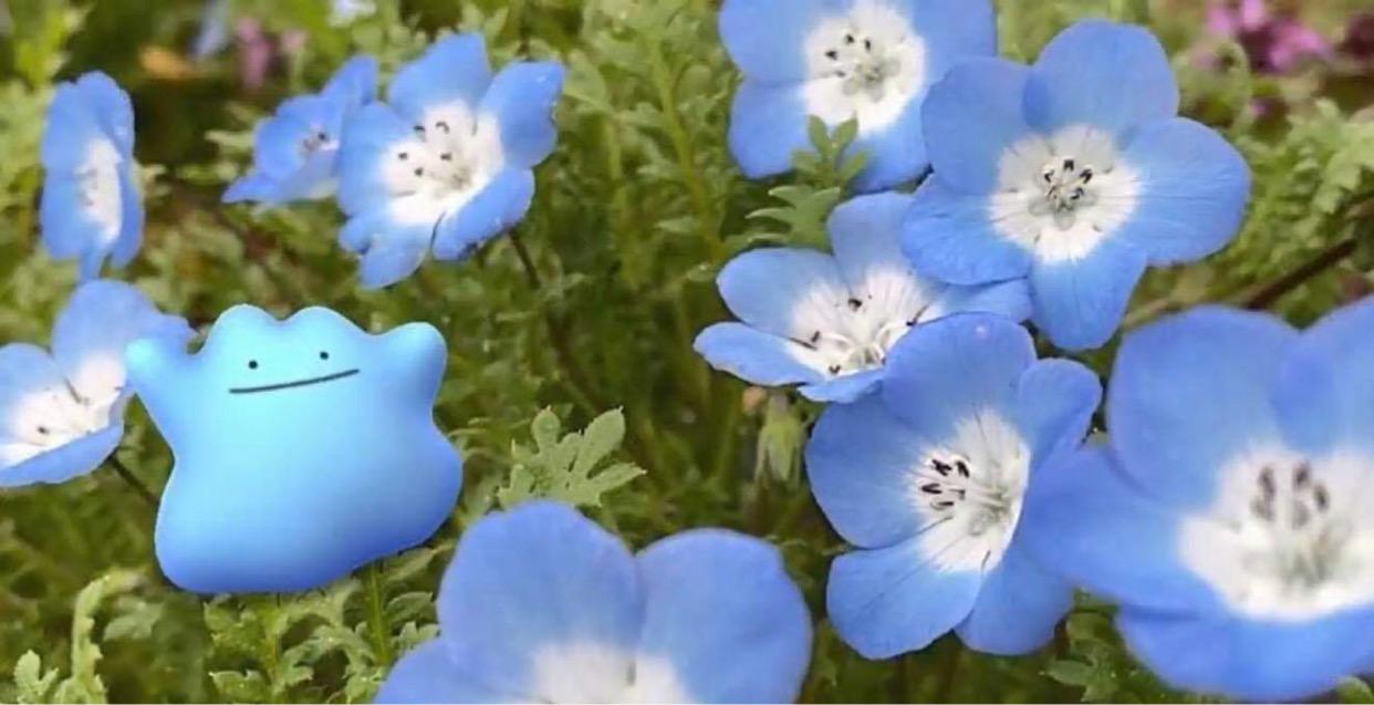 WhatsApp Image 2021-03-23 at 22.45.20