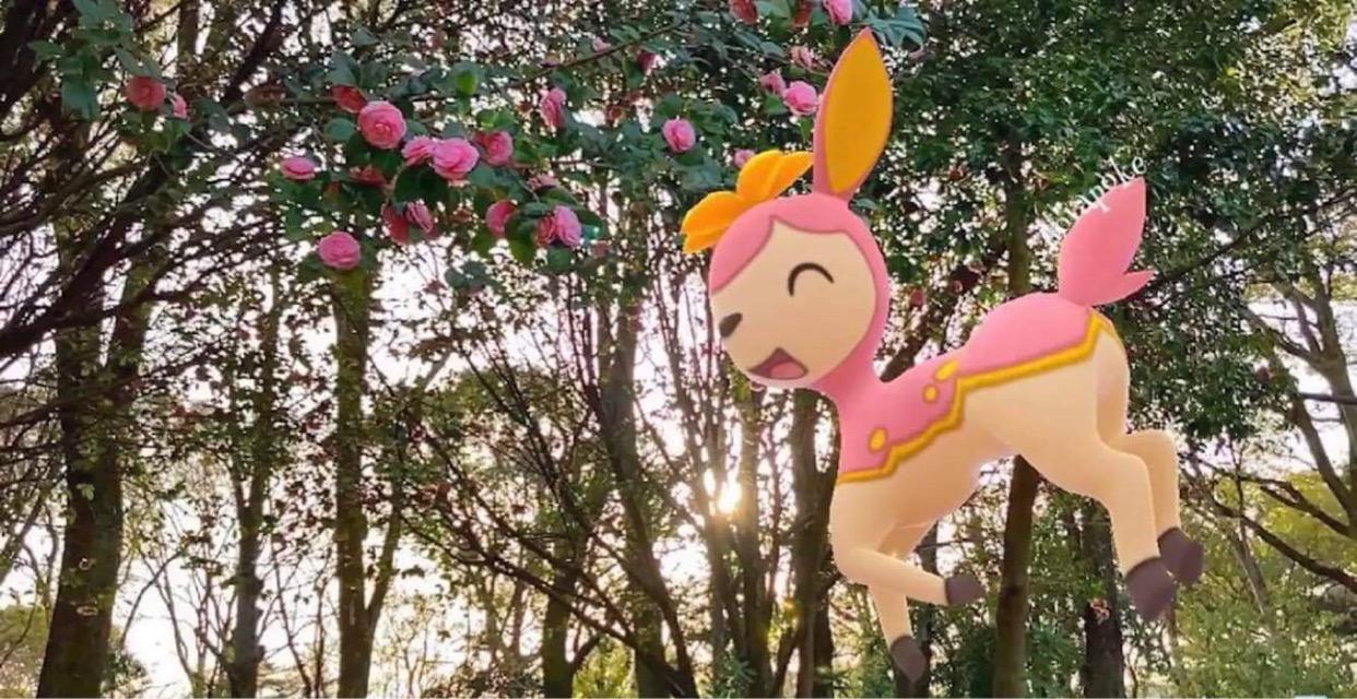 WhatsApp Image 2021-03-23 at 22.45.211