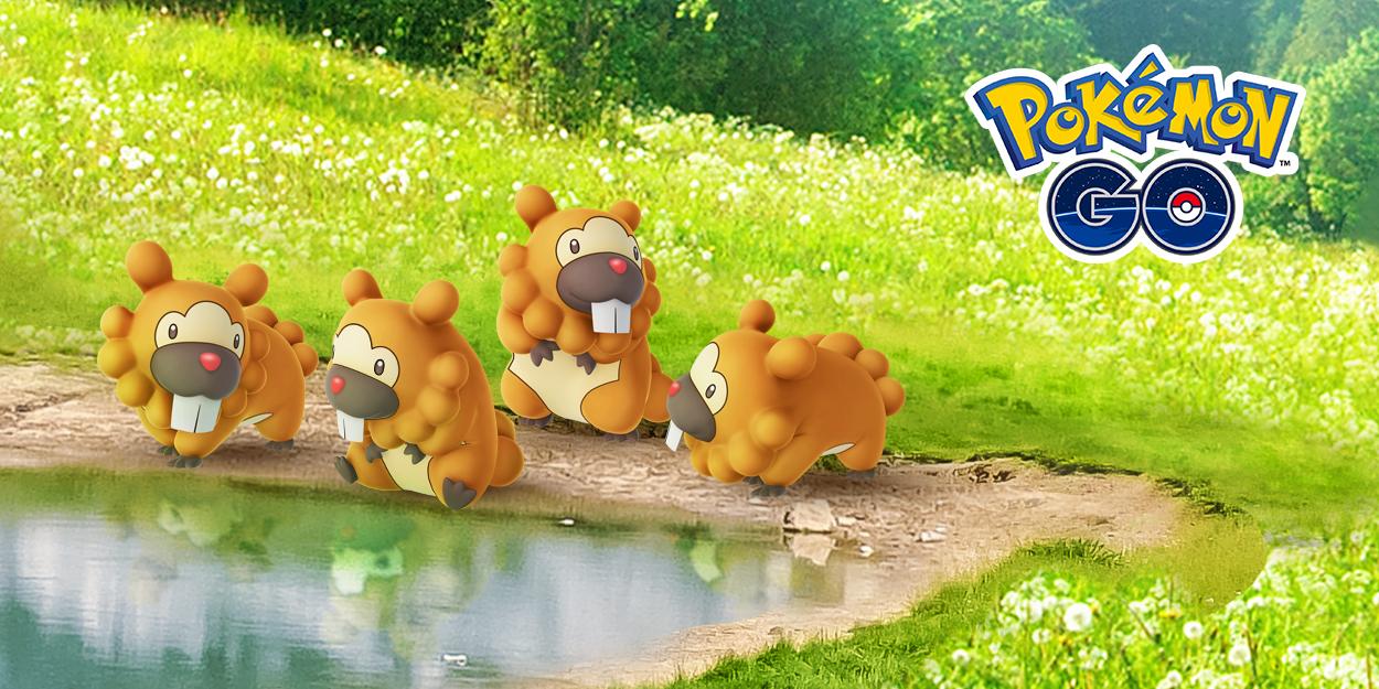 Speciale Pokémon GO Bidoof Cup en Bidoof-kleding gevonden door dataminers