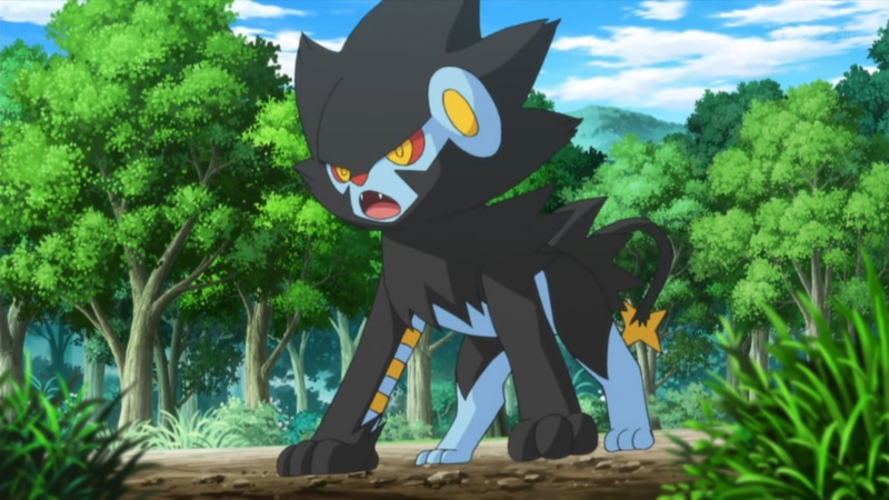 De details van Shinx, Luxio en Luxray in Pokémon Sleep zijn bekend