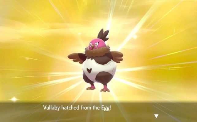 Vullaby Field Research Task