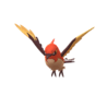 21Fletchinder_shiny