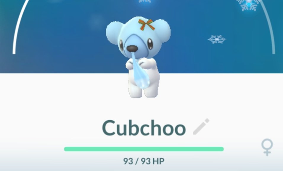 Cubchoo Spotlight Hour